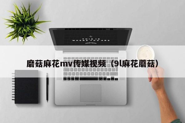 磨菇麻花mv传媒视频（9l麻花蘑菇）